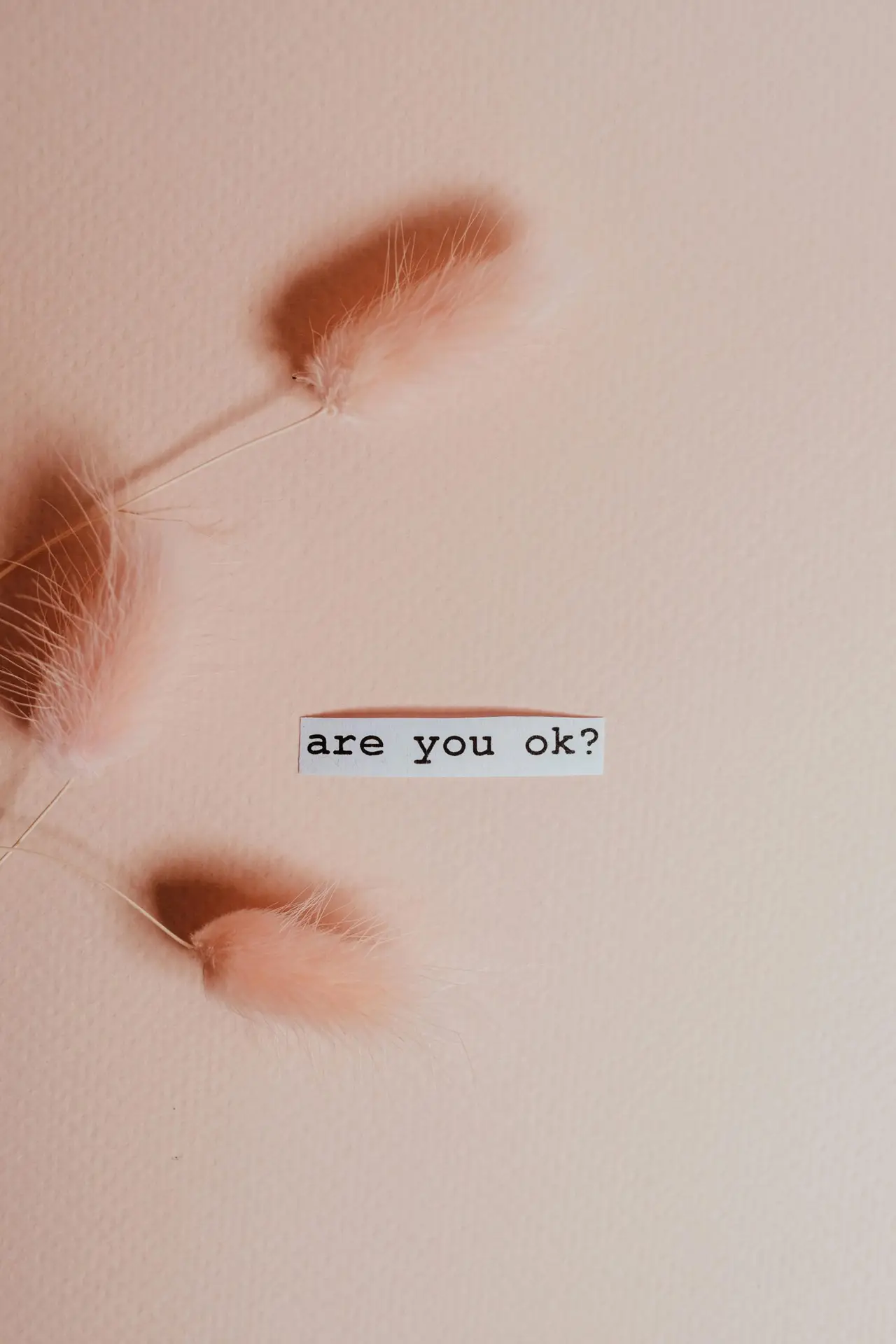 Are you ok?